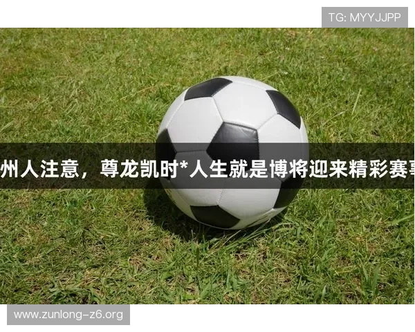 尊龙凯时认识就是博:如何通过平台背景了解其专业性与行业地位