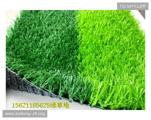 乌拉圭对佛得角比赛场地的草皮类型与场地维护情况对比赛表现的影响分析 乌拉圭对佛得角比赛场地的草皮类型与场地维护情况对比赛表现的影响分析